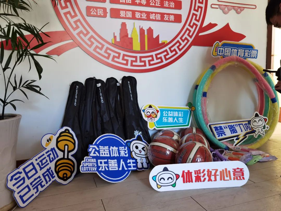 入职业队的
